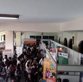 Pamdik 2019
